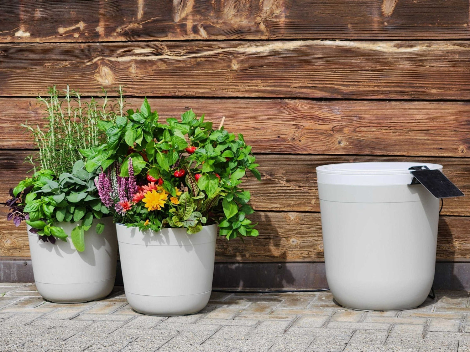 Boum System im Frühling reaktivieren