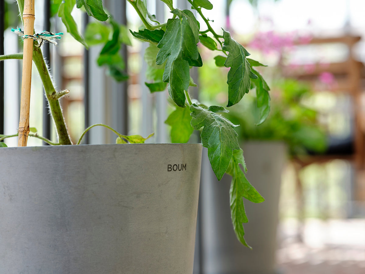 Investoren, Patente und Boum