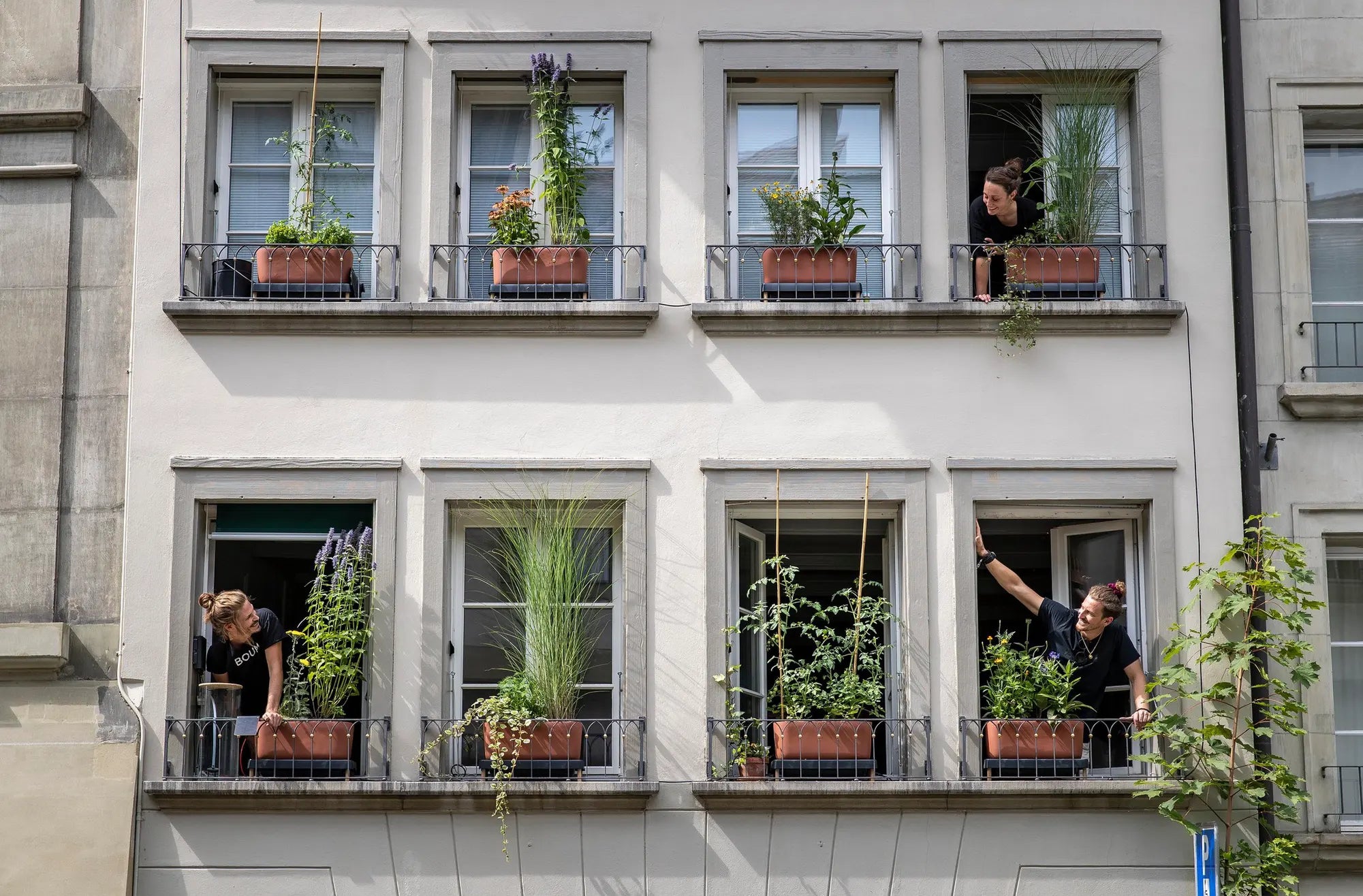 Stadtplanung hinkt Hitzewellen hinterher