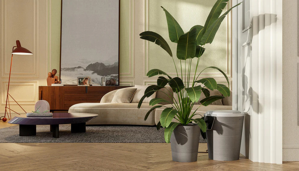 Smarte Bewässerung für Indoor-Pflanzen – automatisiert und sicher