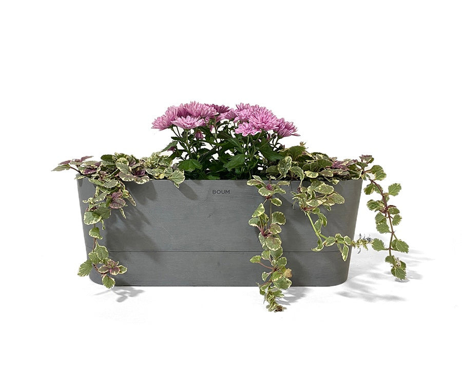 Der Boum Balkonkasten ist da 🪴🥳