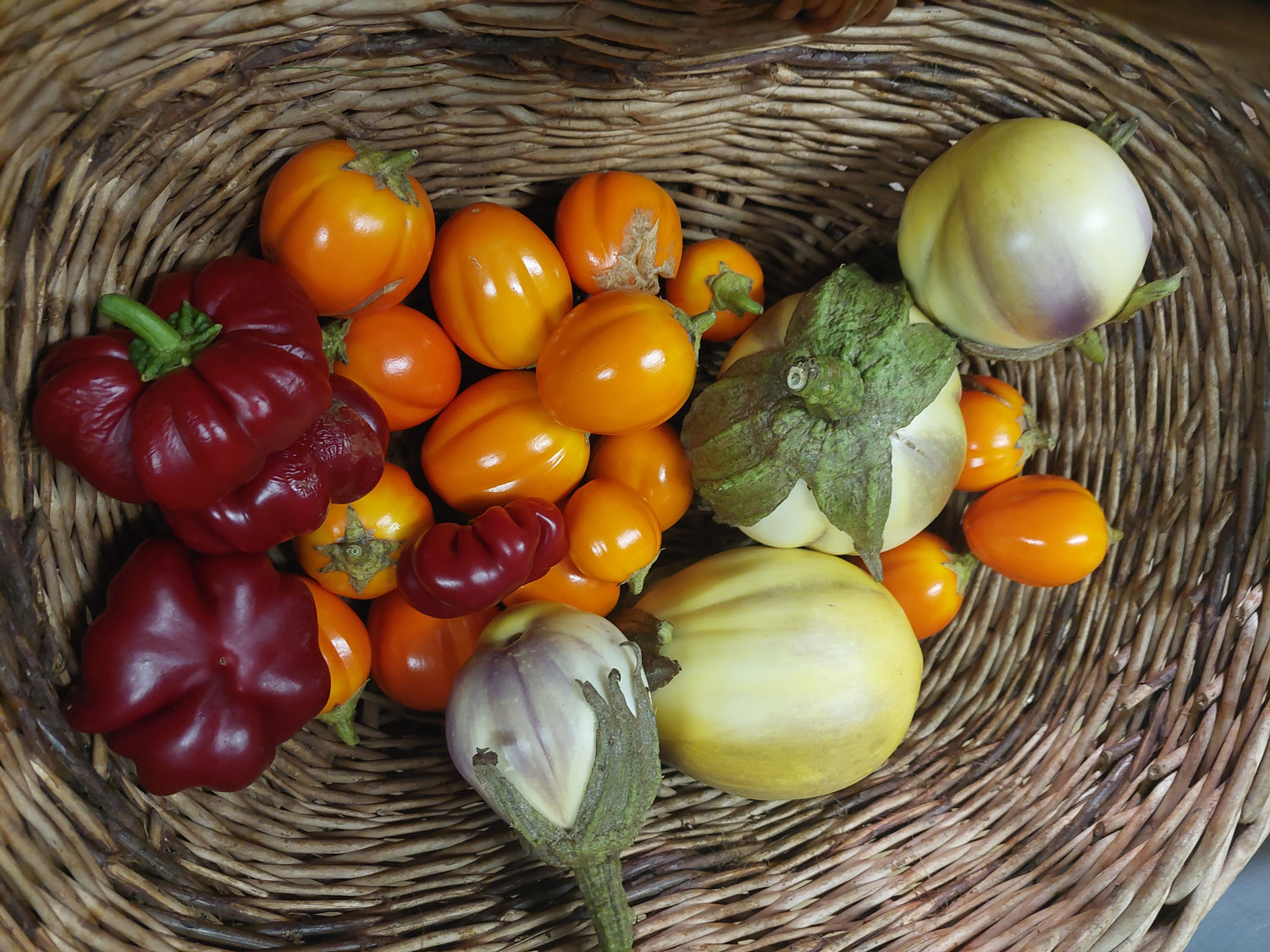 Herbst-Tipps zur Erntezeit