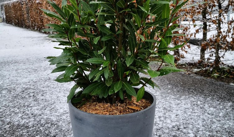 Wichtige Wartungshinweise zur Winterzeit ❄️