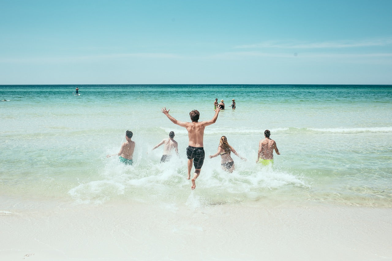 So überleben Pflanzen die Ferien 🏝️