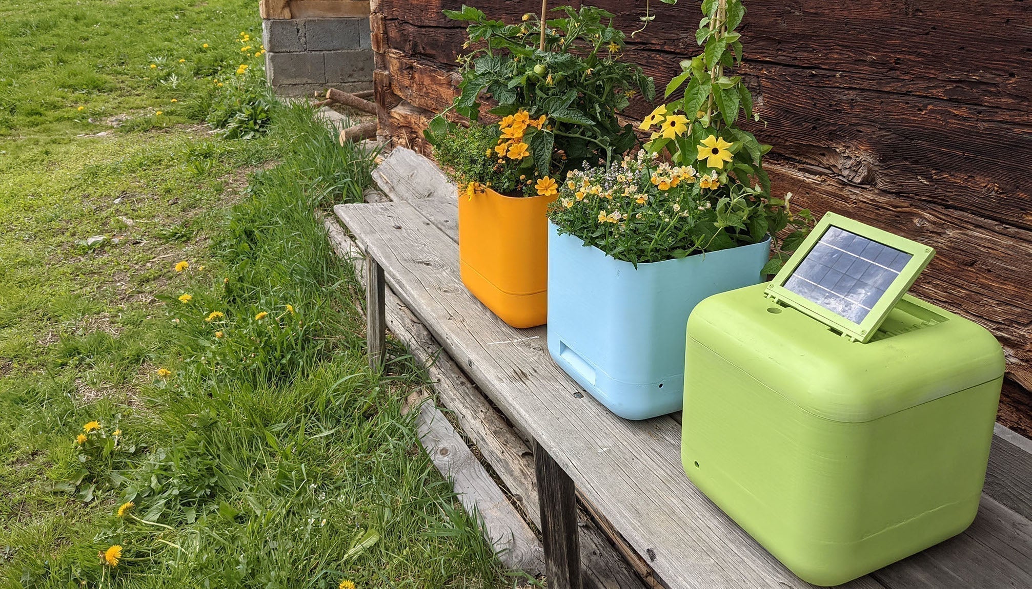 Die Boum-Story – 5 Jahre smarte Pflanzenpflege