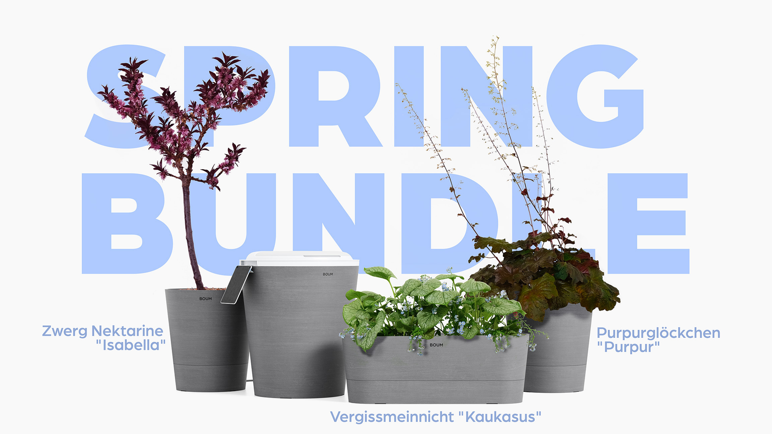 Das Boum Spring Bundle ist da! β¨π