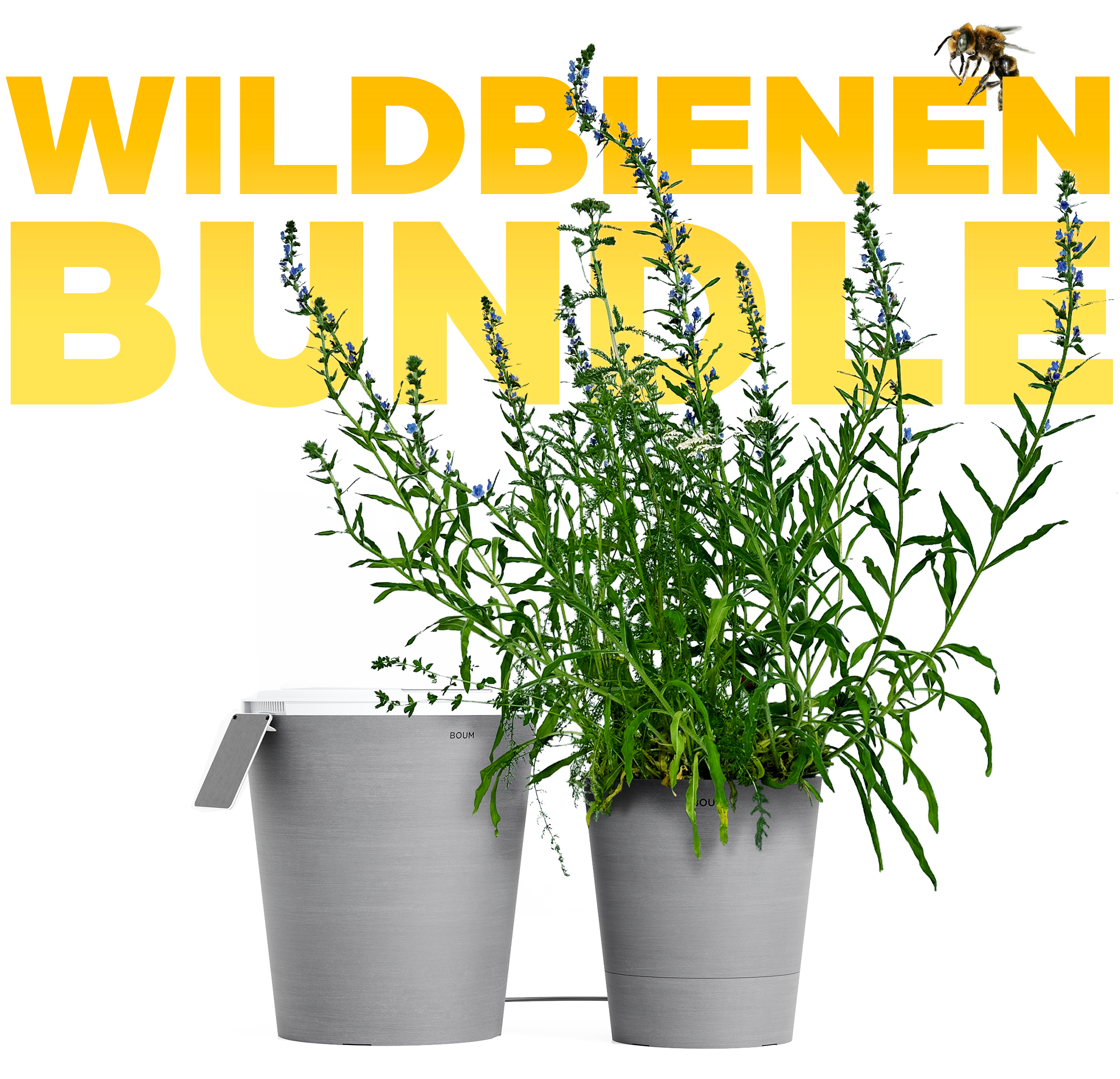 Willkommen Wildbienen Bundle 🥳🐝