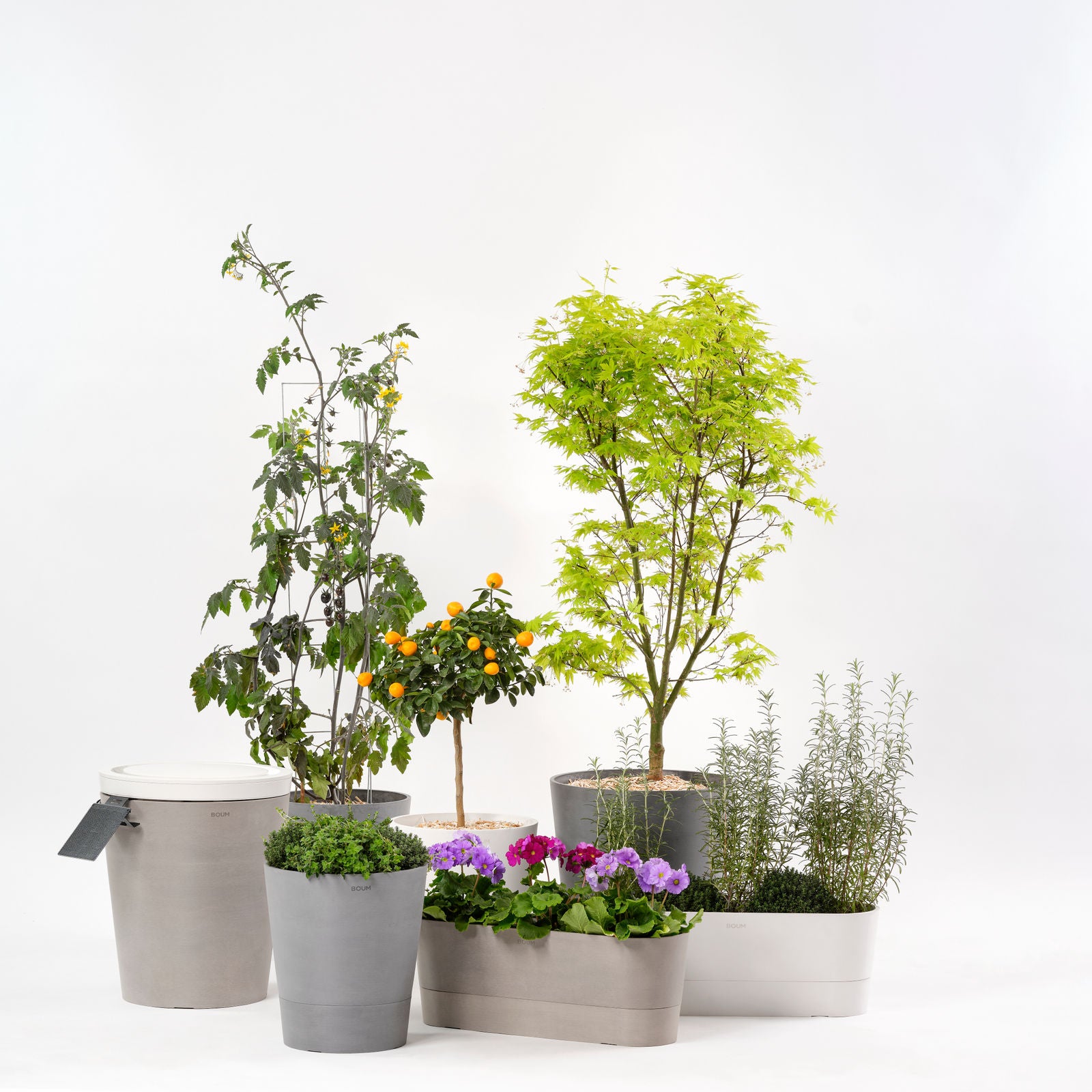 Boum Pro - Smarte Dochtbewäserung (Set)