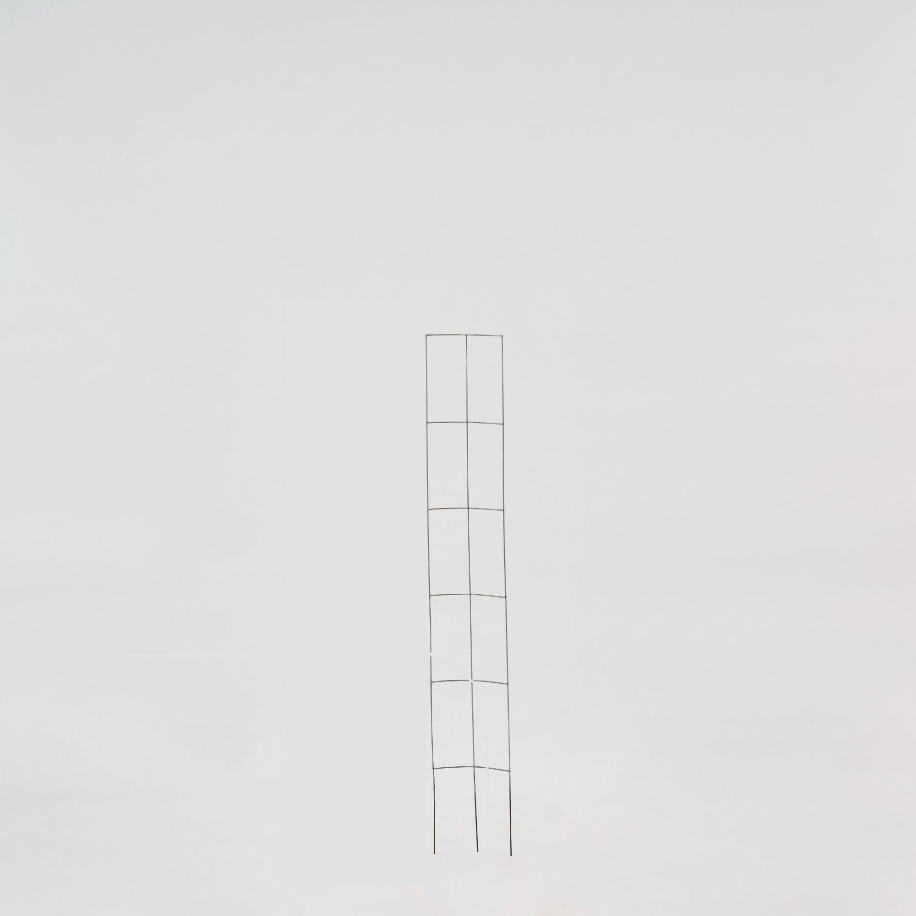 trellis