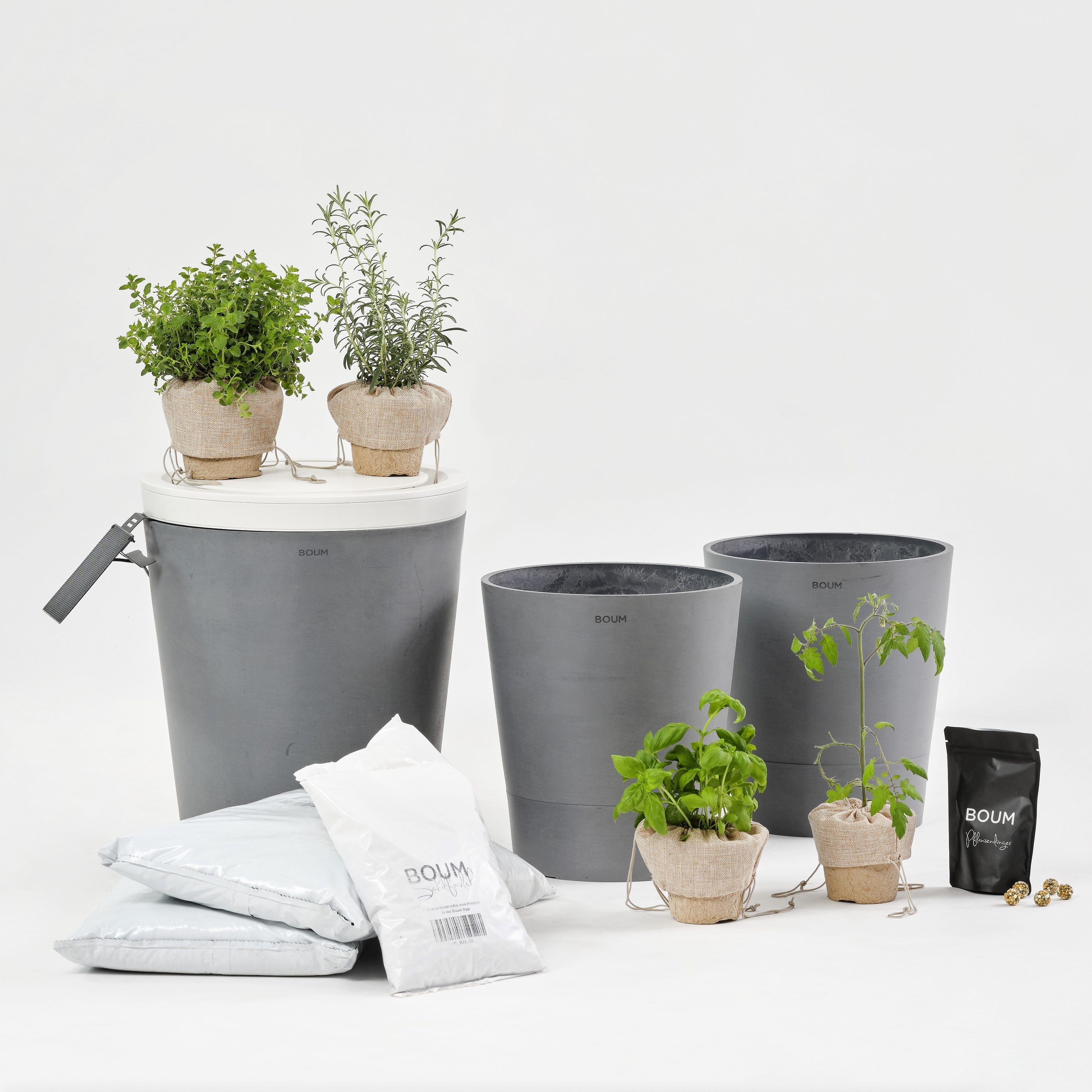 Beginner Bundle Vegetables & Herbs