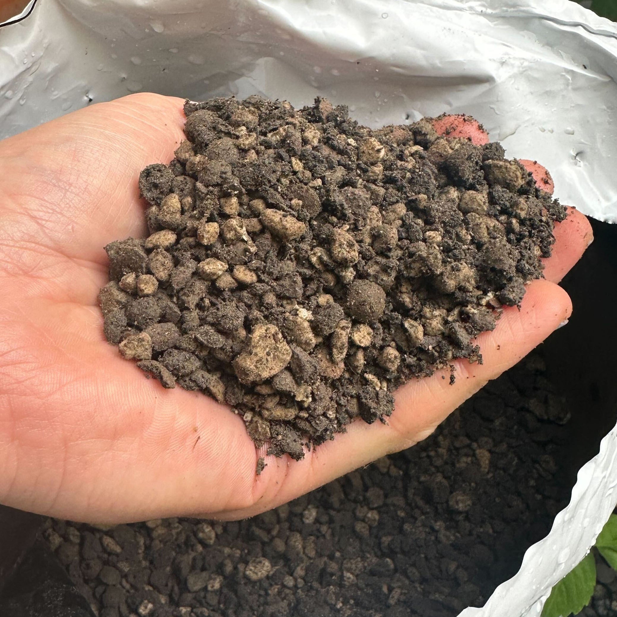 Boum houseplant soil 15L