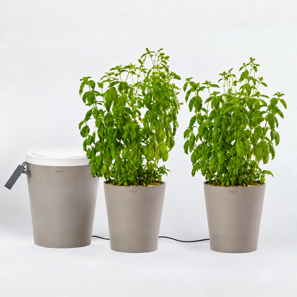 Boum Pro - Système d'irrigation (kit de démarrage)