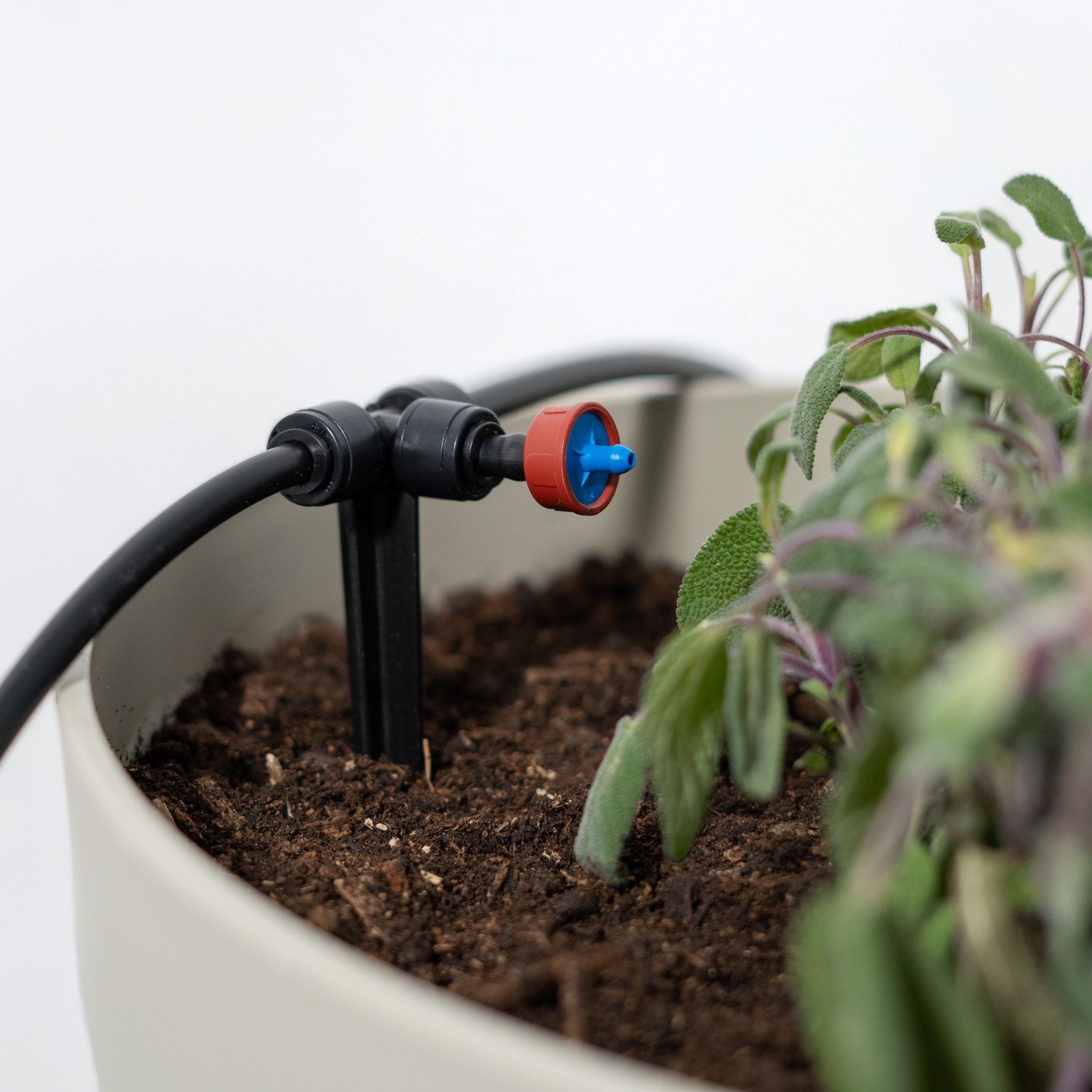 Boum Drip - Smarte Tröpfchenbewässerung (Starterset)