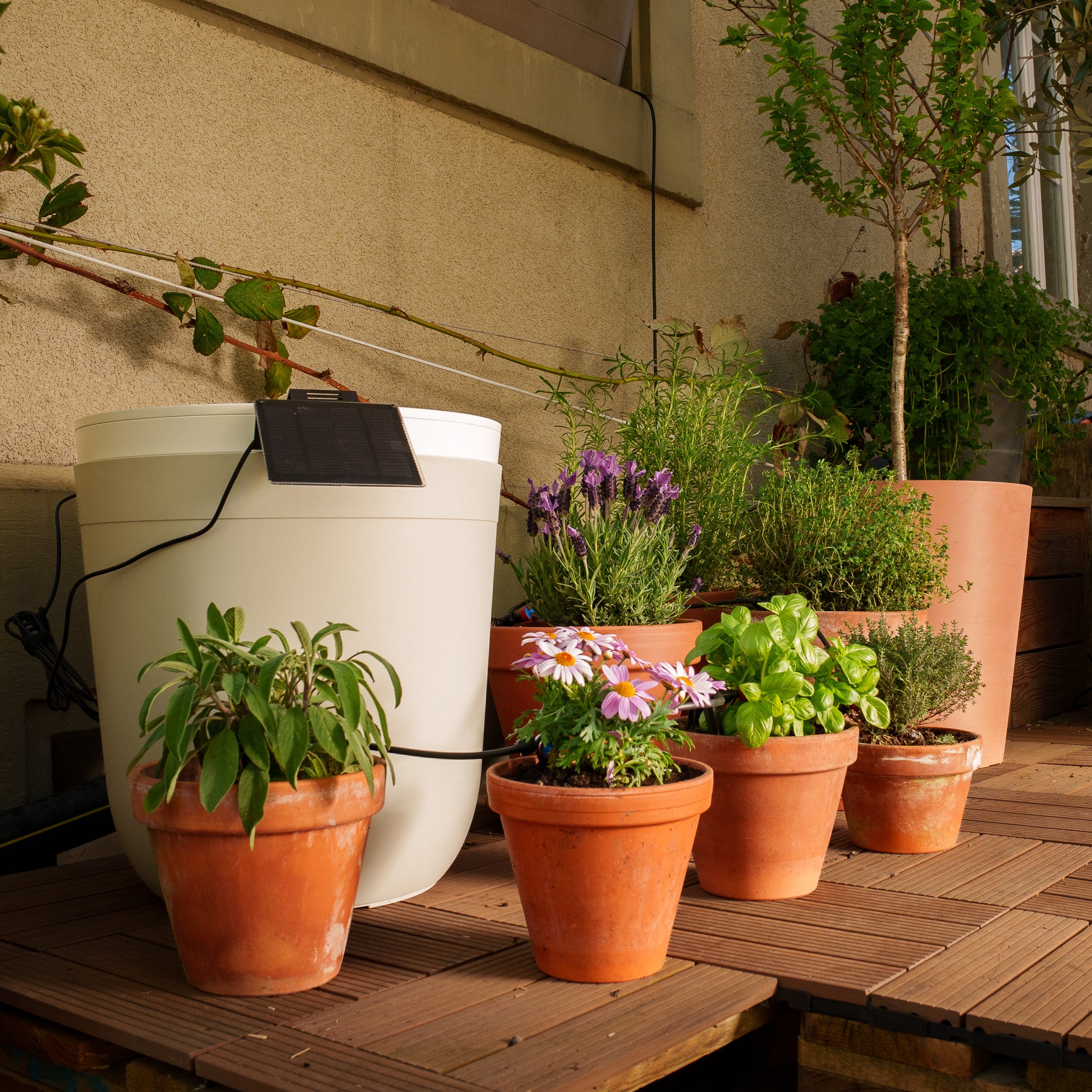 Boum Drip - Smart drip irrigation (set)