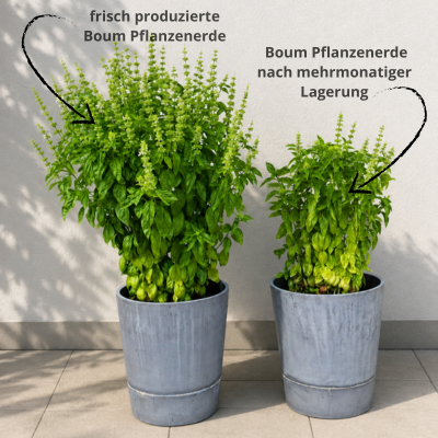 Précommande Terreau Boum