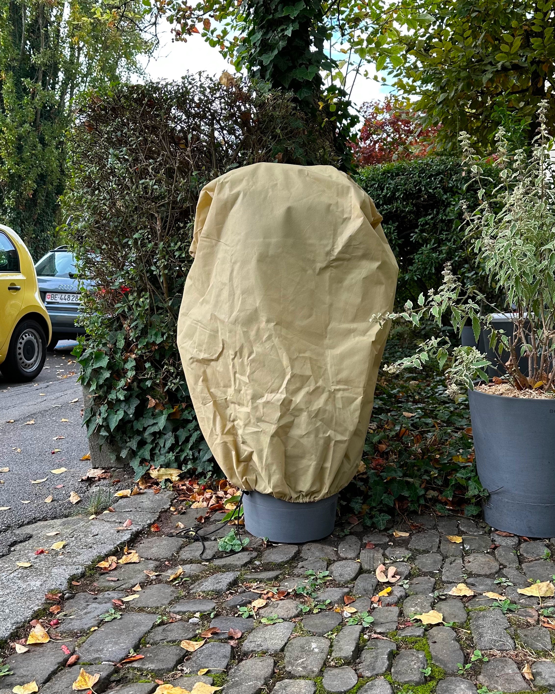 Pflanzenabdeckung