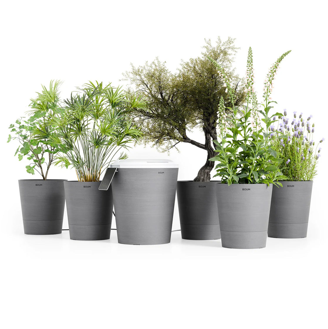 Bärn Boumt Set L