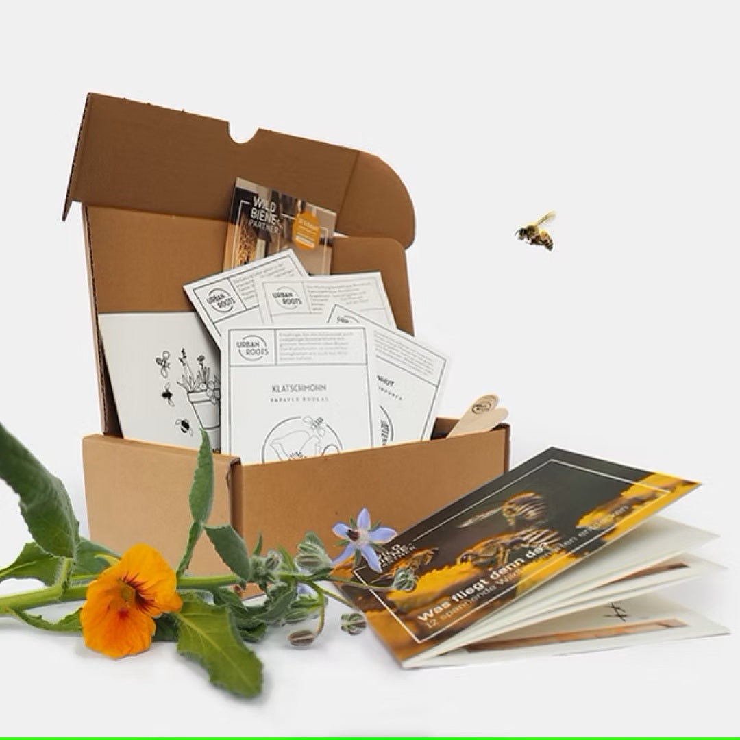 Urbanroots Seed Box Insect Friends