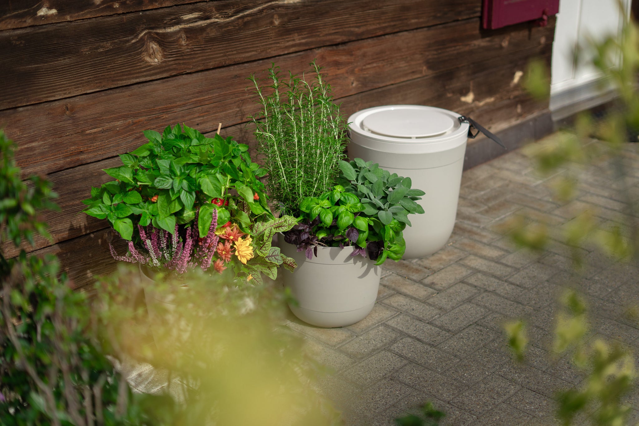 Boum | Die smarte Solarbewässerung für deine Pflanzen.