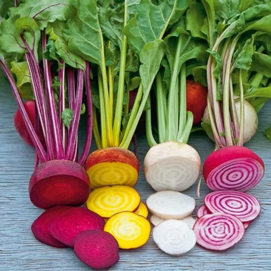 Urbanroots Saatgutbox Superfood