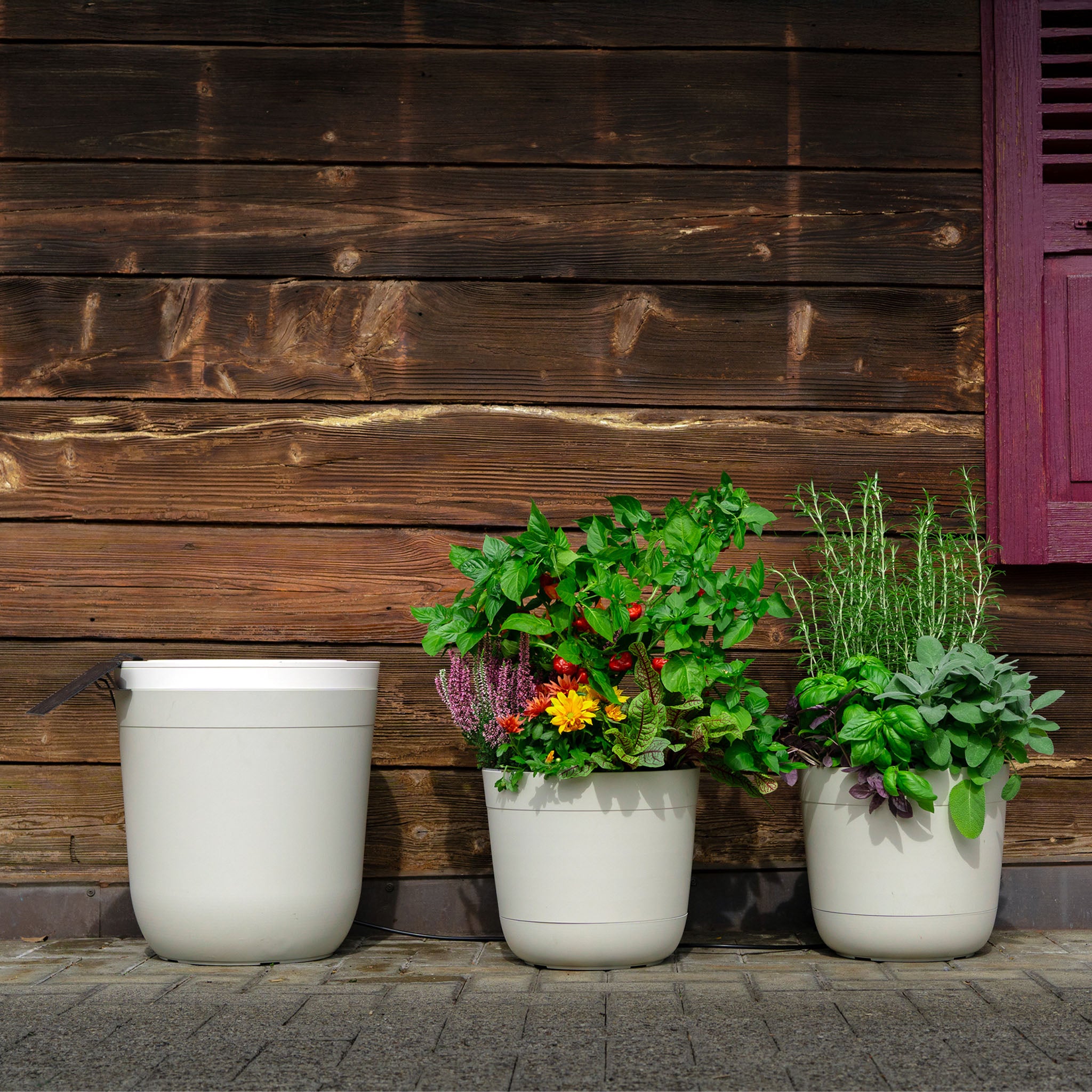 Boum Core - Smarte Dochtbewässerung (Set)