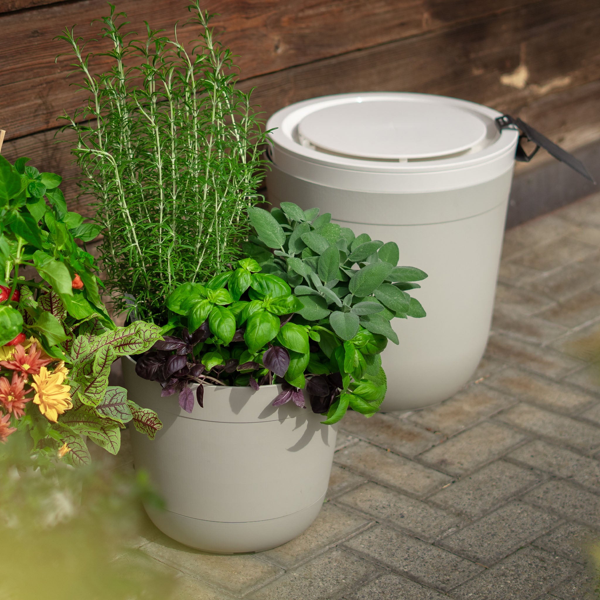 Boum Core - Smarte Dochtbewässerung (Set)