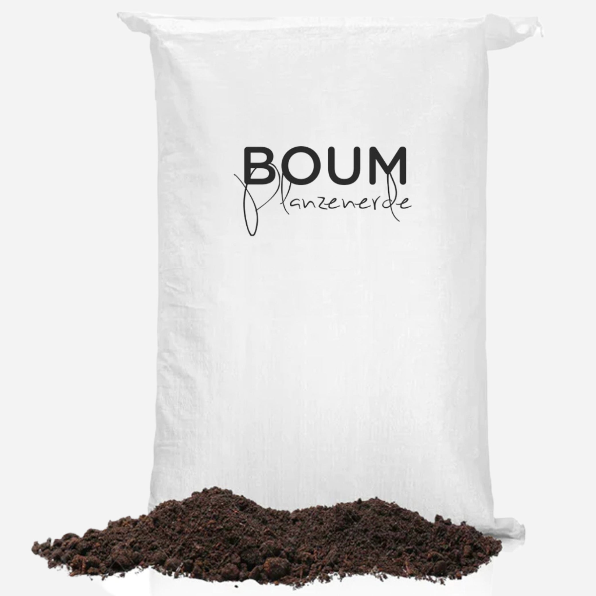 Boum Set Special Offer