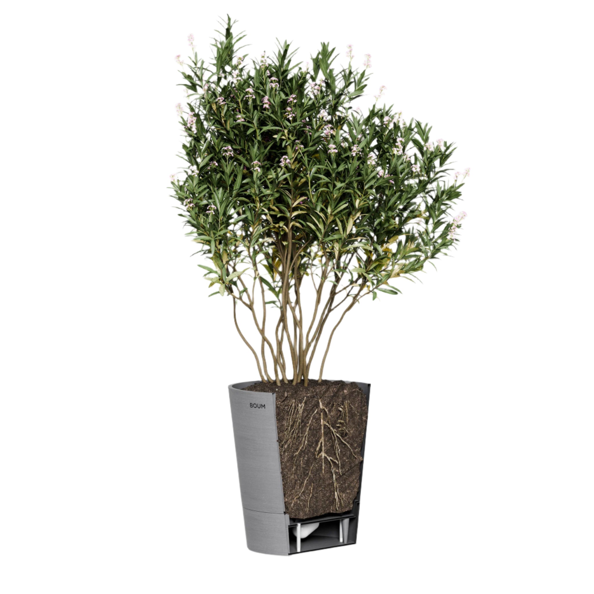 Boum Pflanzenerde 15 L inkl. Mulch