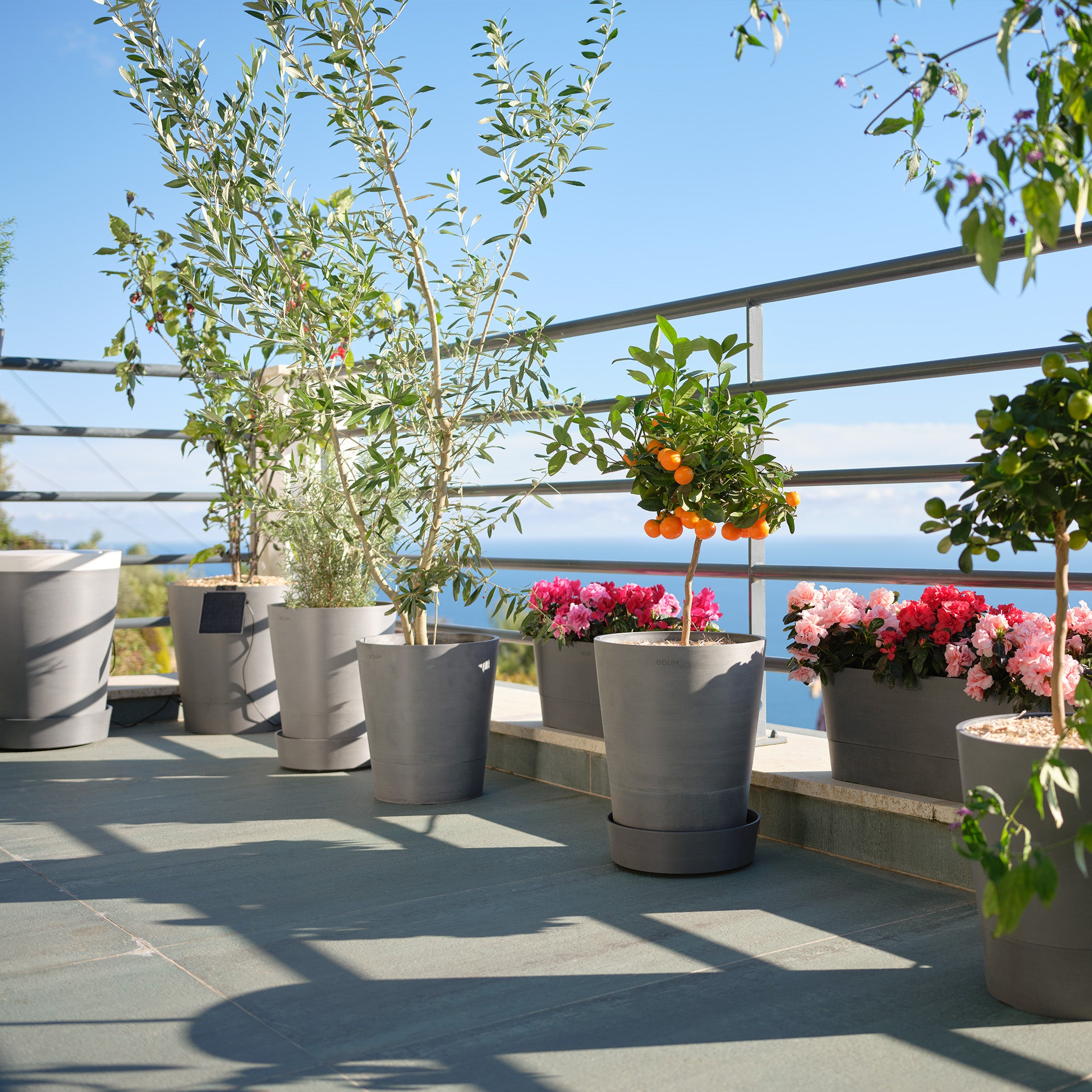 Boum 3 Terrace Set