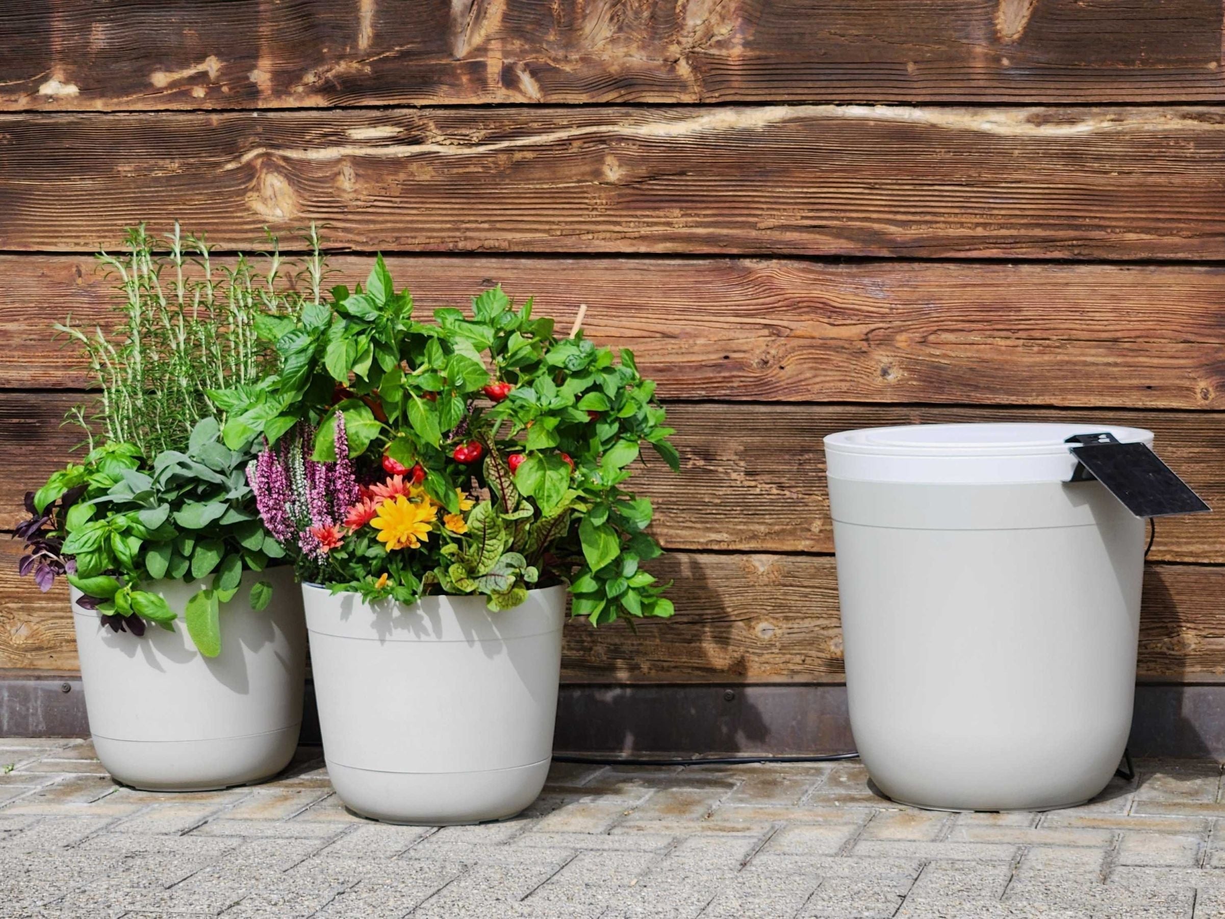 Boum System im Frühling reaktivieren