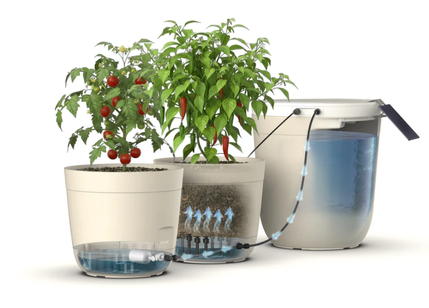 Wie Du mit diesem revolutionären System nie wieder Deine Pflanzen gießen musst