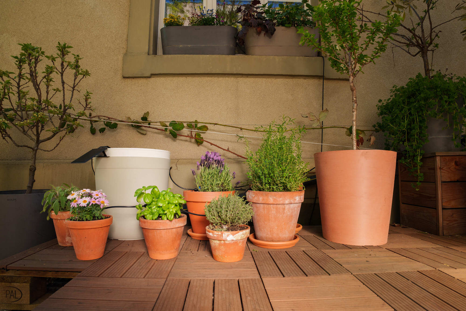 Bewässerungssystem Balkon ohne Wasseranschluss