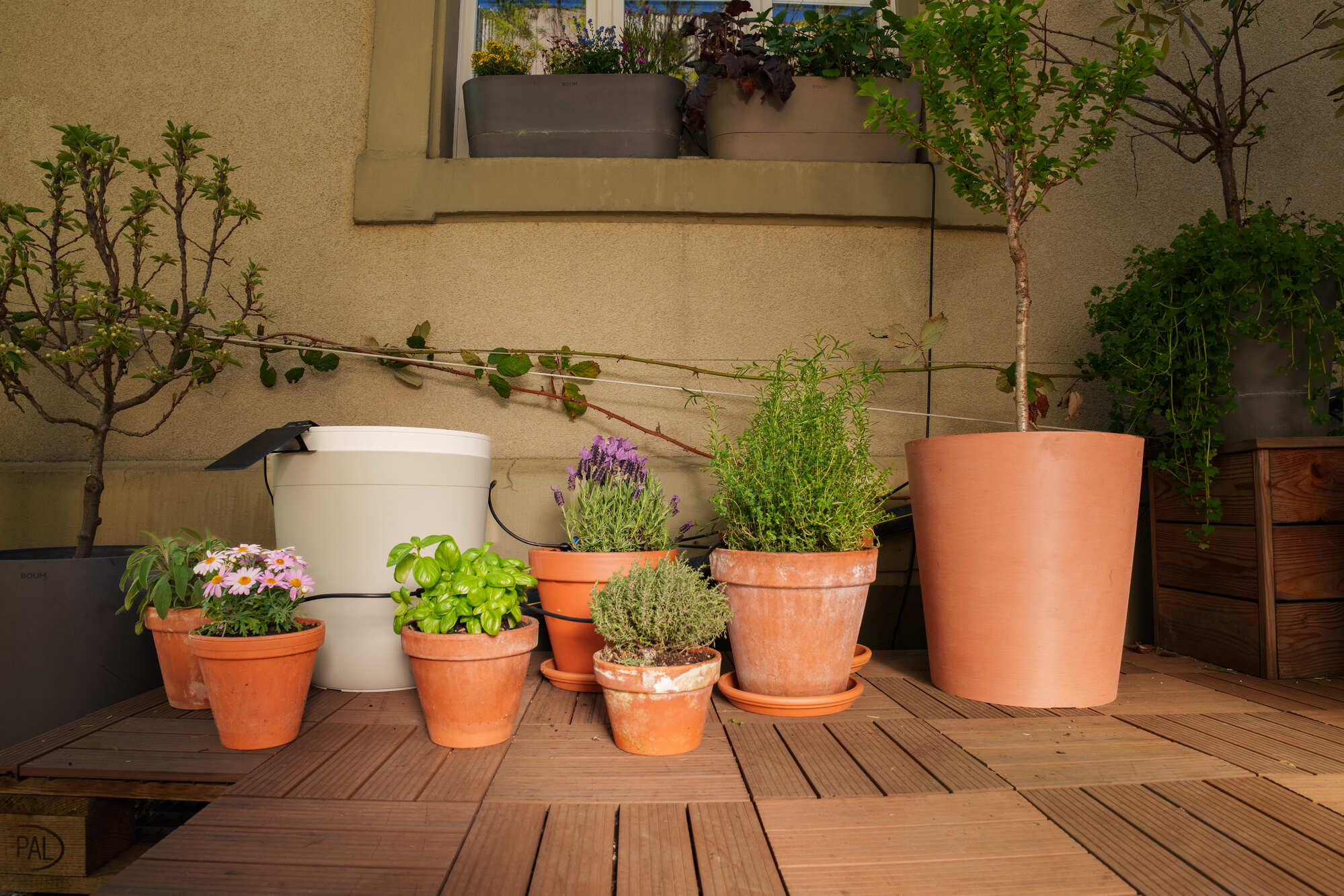 Bewässerungssystem Balkon ohne Wasseranschluss