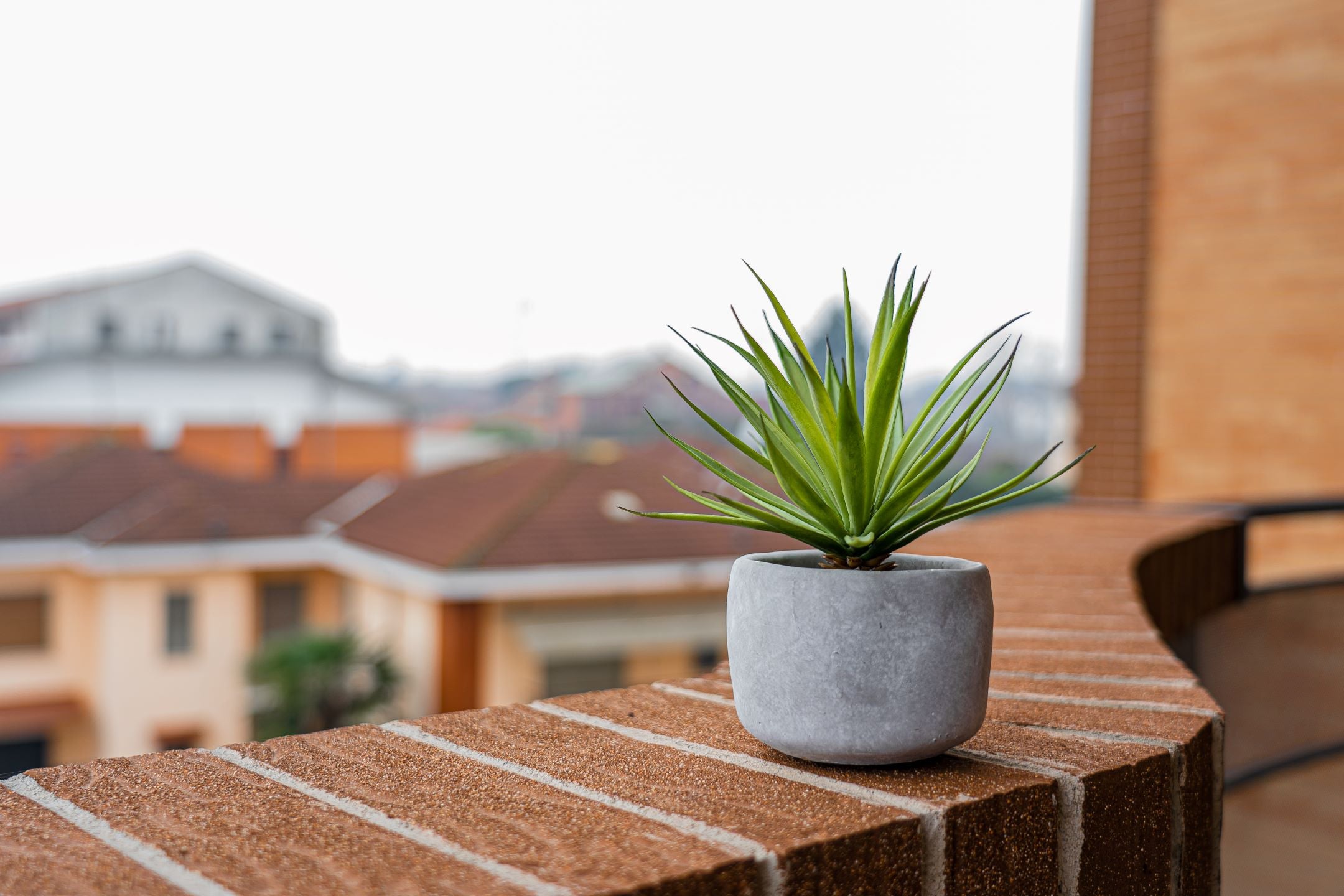 Finde die besten Pflanzgefässe für glückliche Pflanzen auf deinem Balkon