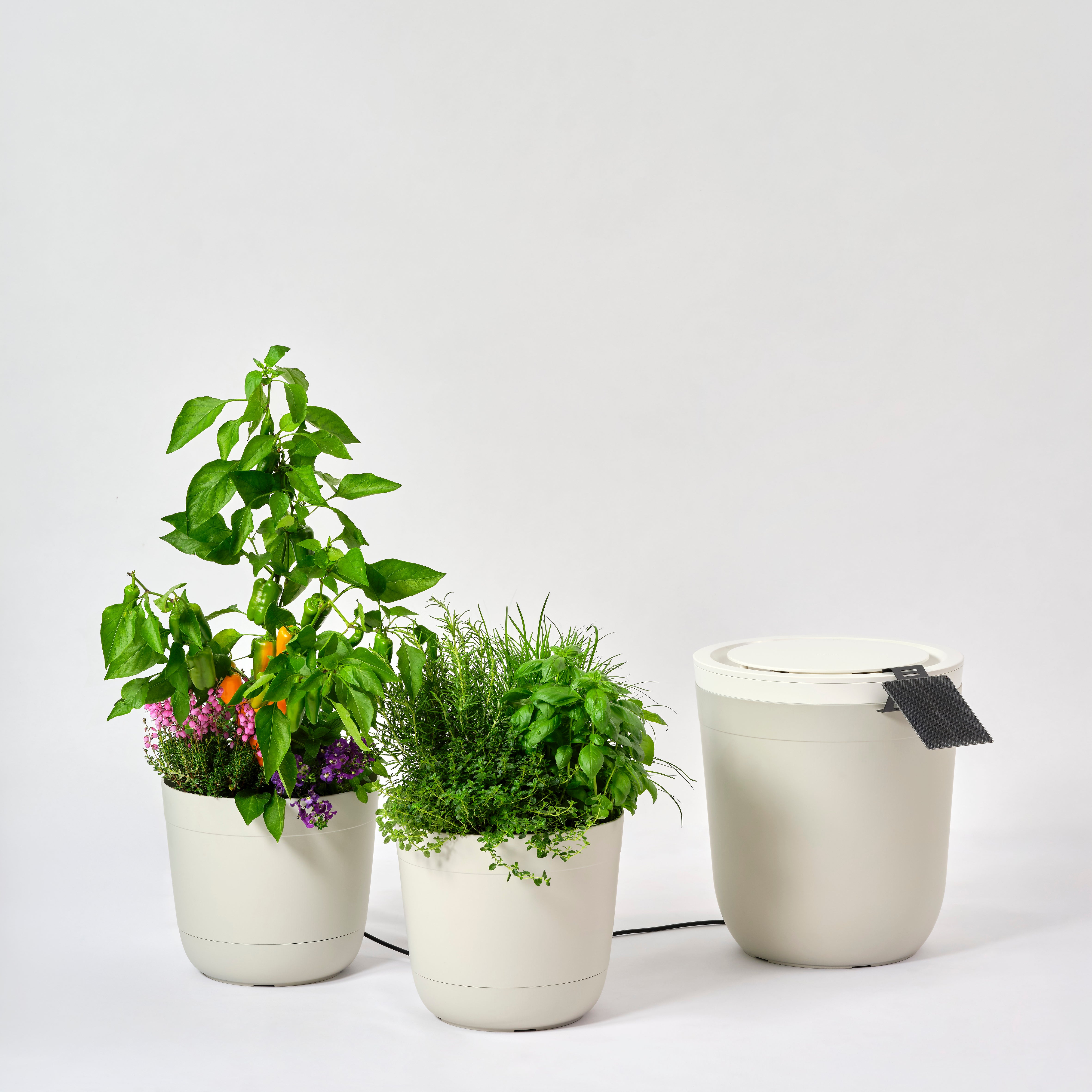 Boum Core - Smarte Dochtbewässerung (Set)