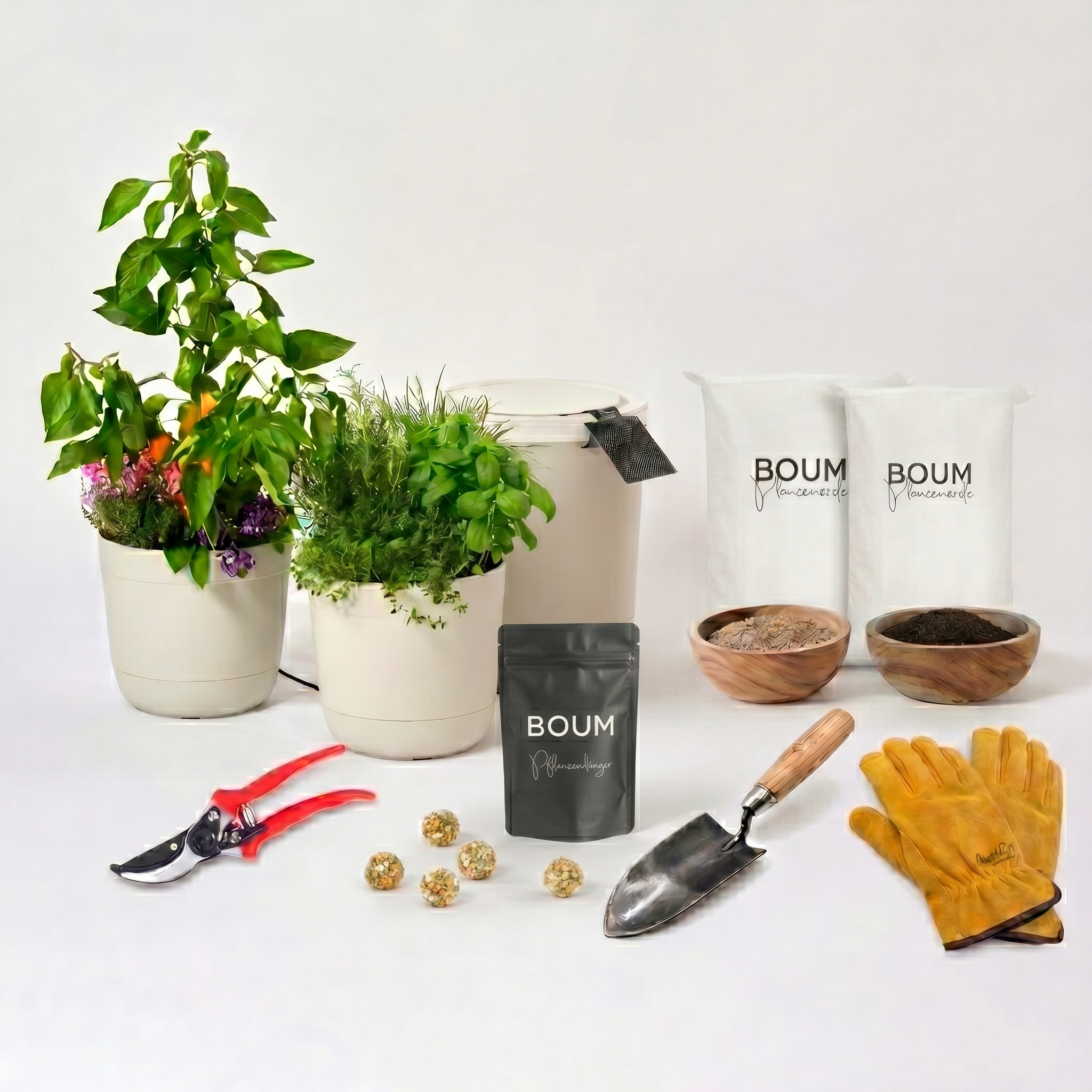 Boum Core Starterset ("Boum grows")