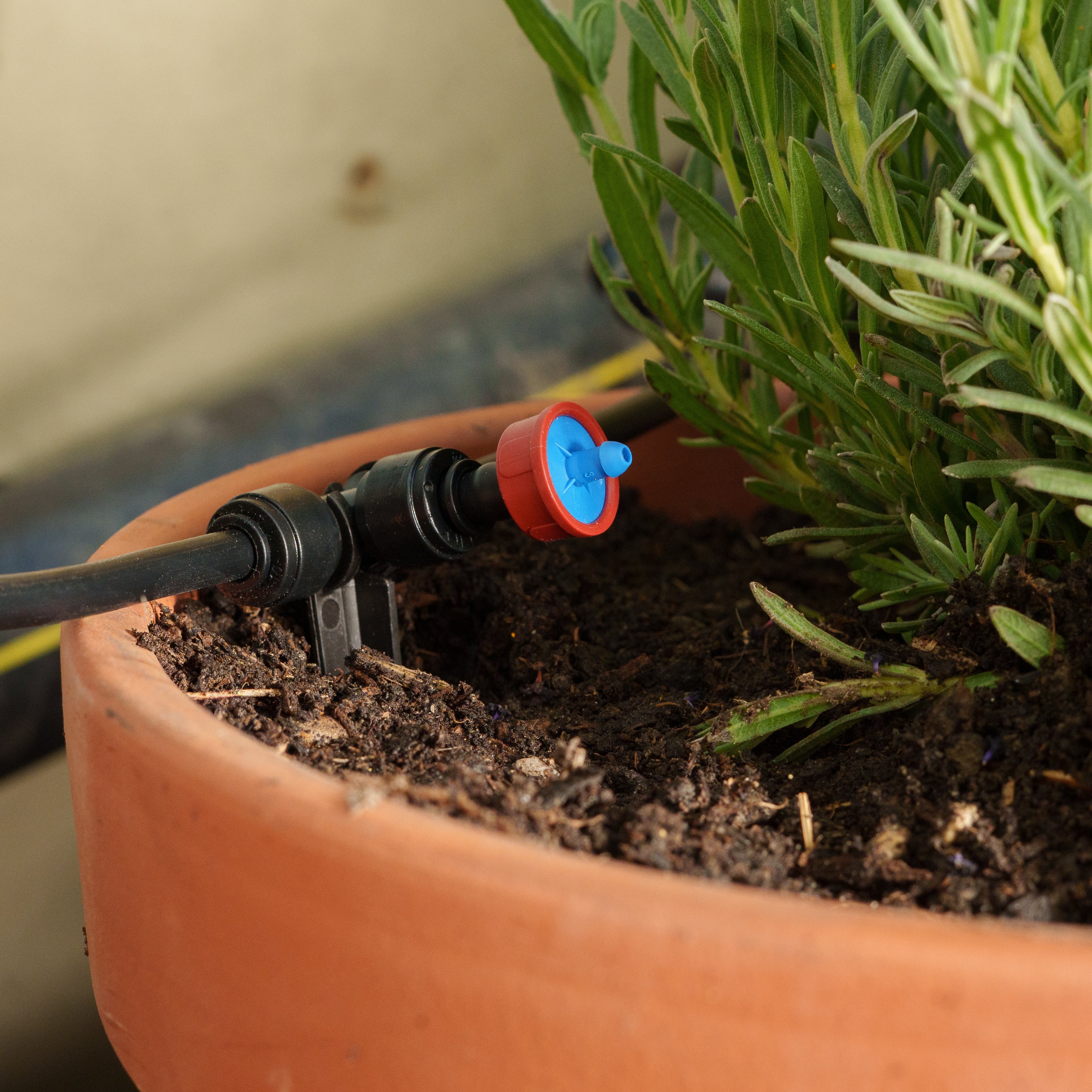 Boum Drip - Erweiterungsset mit 20 Tropfern