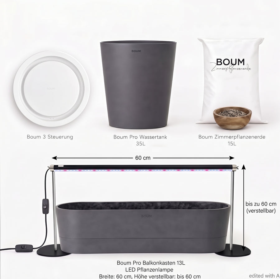 Boum Indoor Starterset
