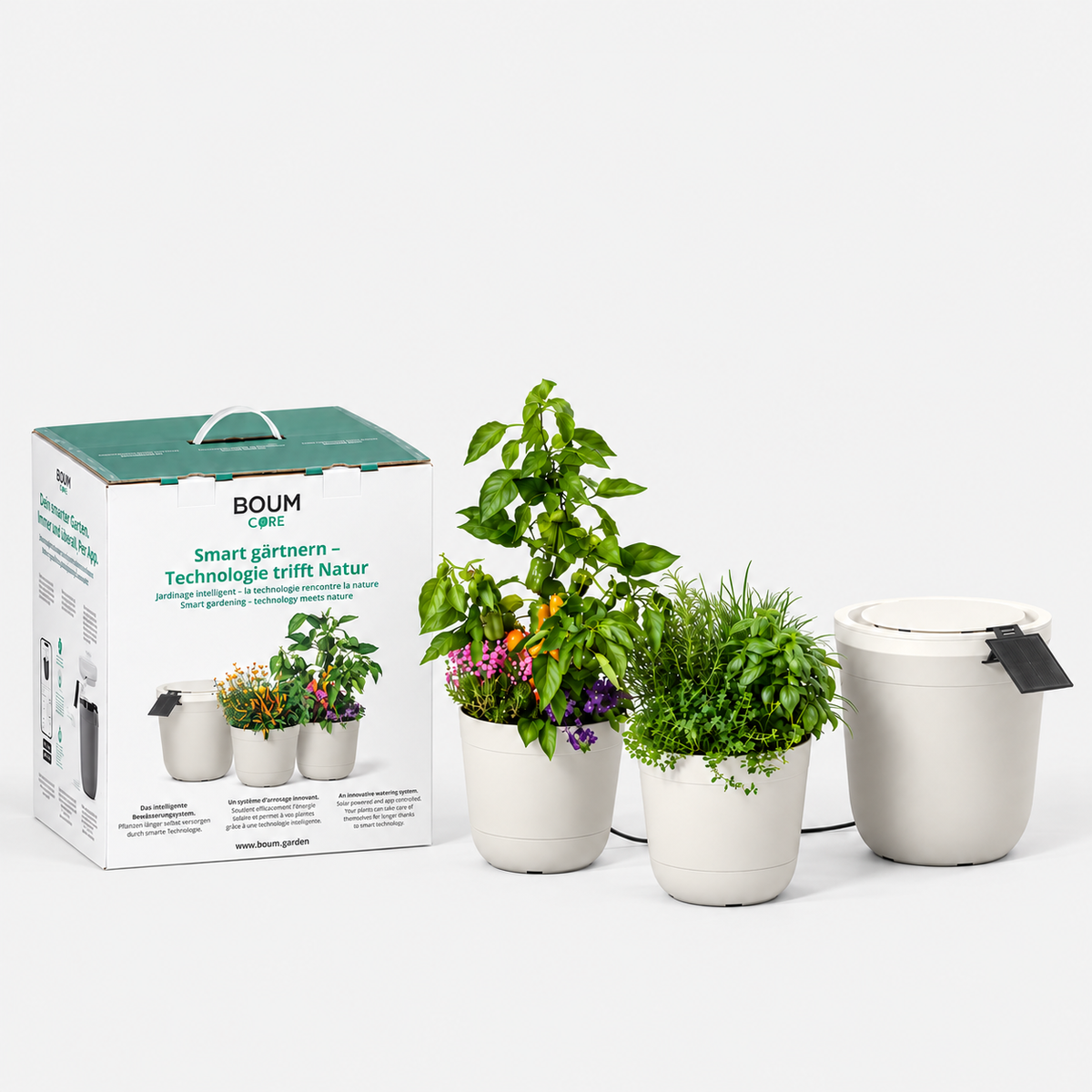 Kit de démarrage Boum Core