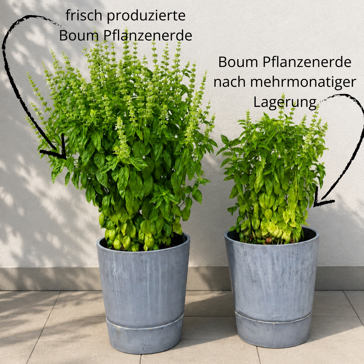 Vorbestellung Boum Pflanzenerde