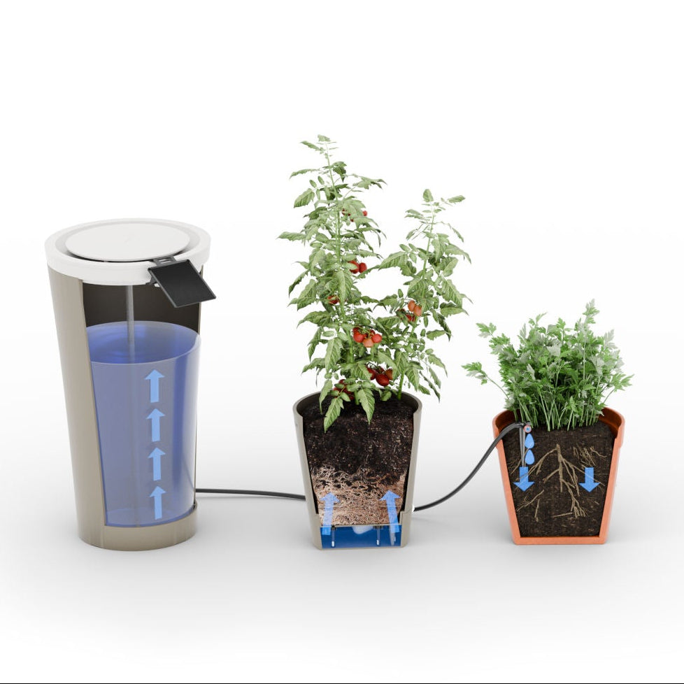 Boum Bewässerung Starterset Mixed (Outdoor)