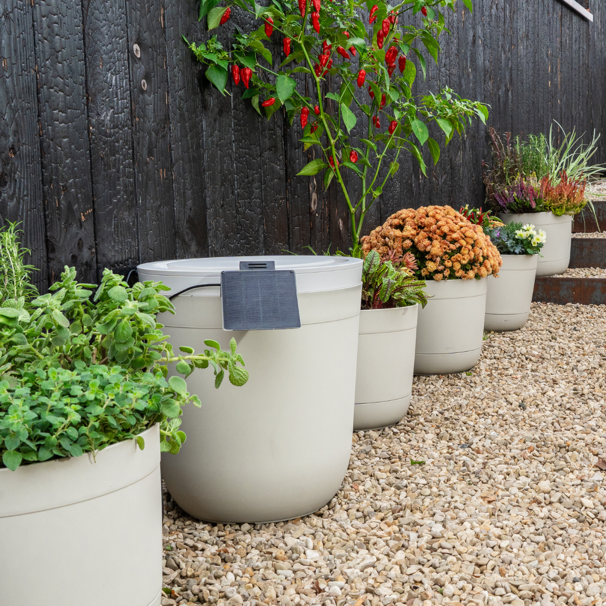 Boum Core - Smarte Dochtbewässerung (Starterset)