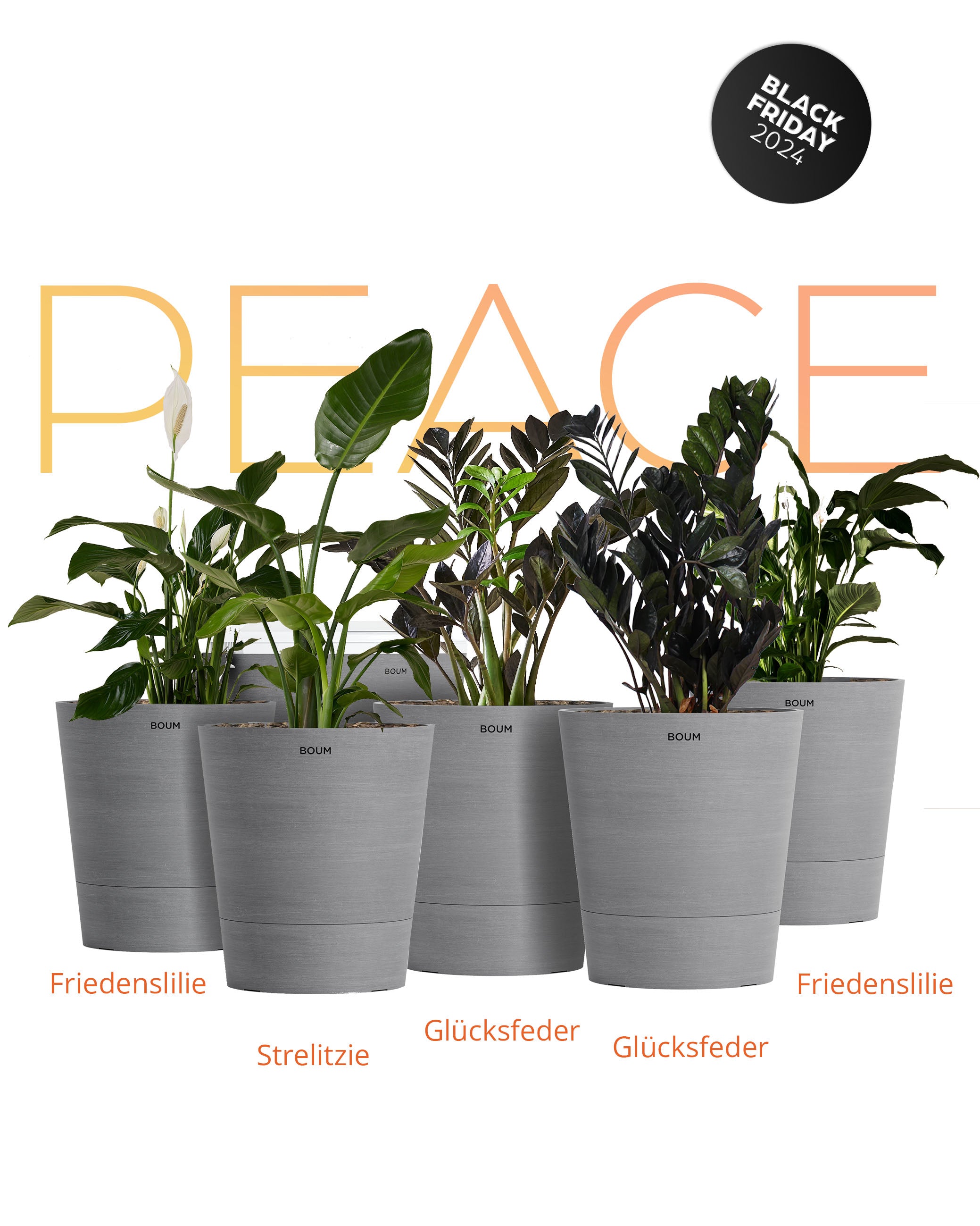 Black Friday Bundle "Peace"