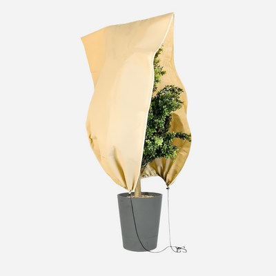 Couverture de plante