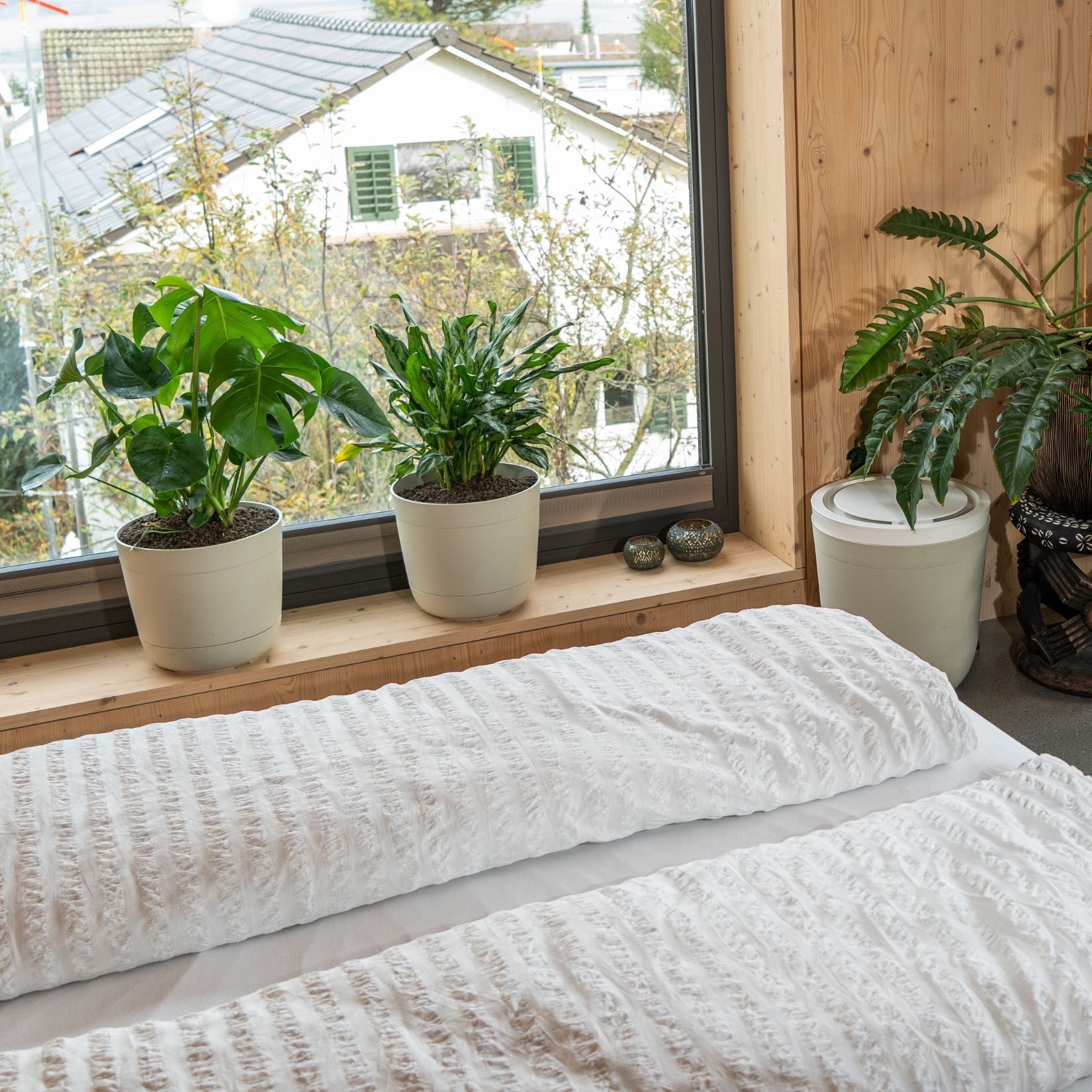 Boum Core - Smarte Dochtbewässerung (Starterset)